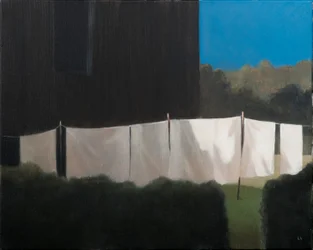 La lessive de Norma, 2012